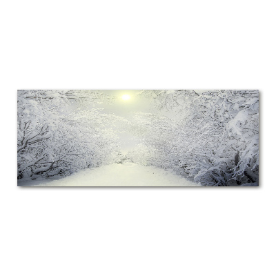 Bild auf Acrylglas Wunderschöner Wald im Winter