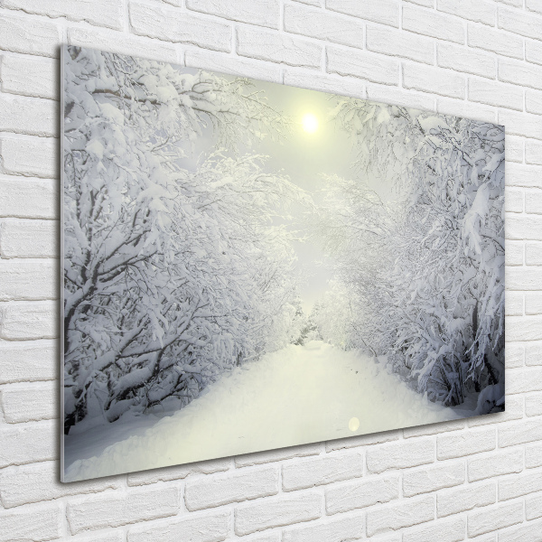 Bild auf Acrylglas Wunderschöner Wald im Winter