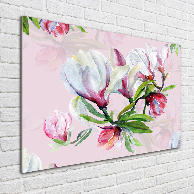 Acrylglas-Druck Magnolienblüten