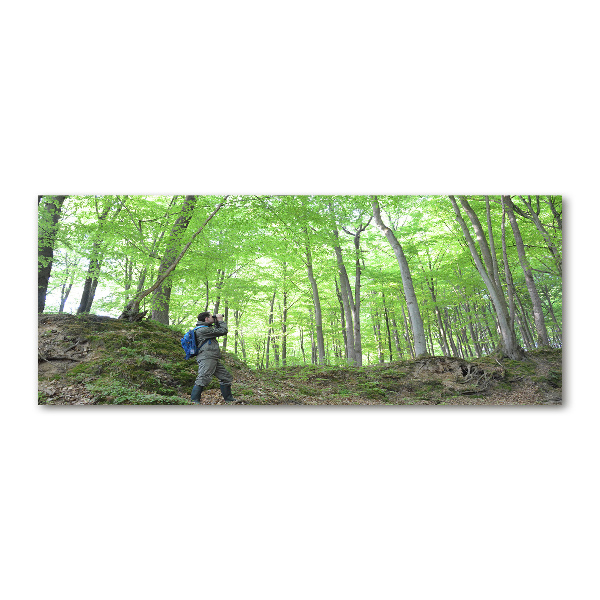 Acrylbild Fotodruck Ornithologe im Wald