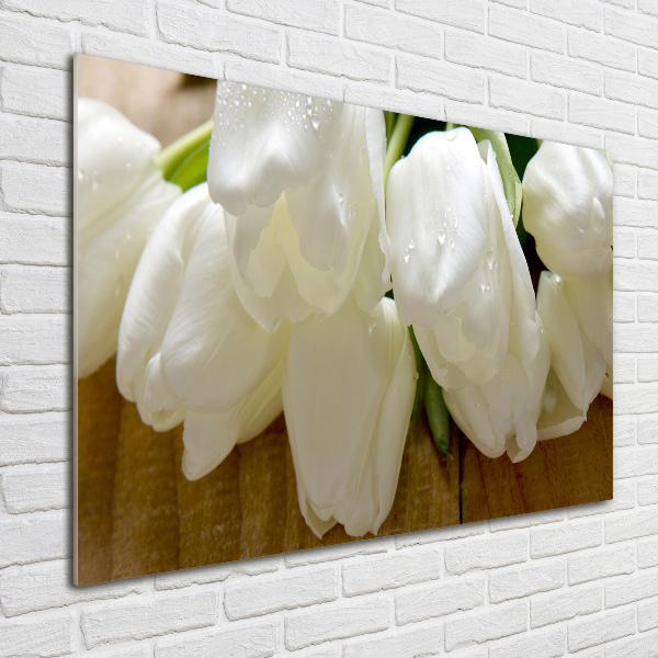 Foto auf Acryl Weiße Tulpen
