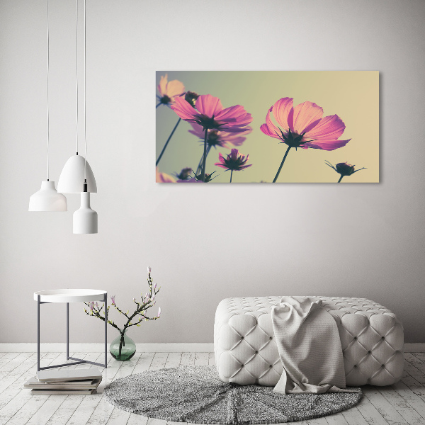 Bild auf Acrylglas Rosa Blüten