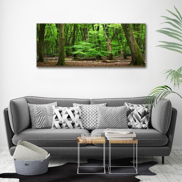 Acrylbild Fotodruck Holländischer Wald