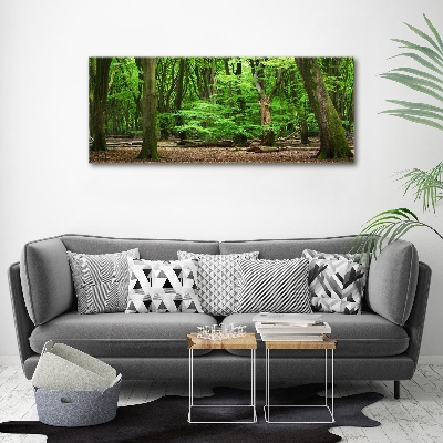 Acrylbild Fotodruck Holländischer Wald