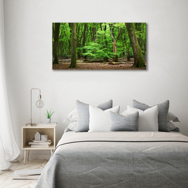 Acrylbild Fotodruck Holländischer Wald
