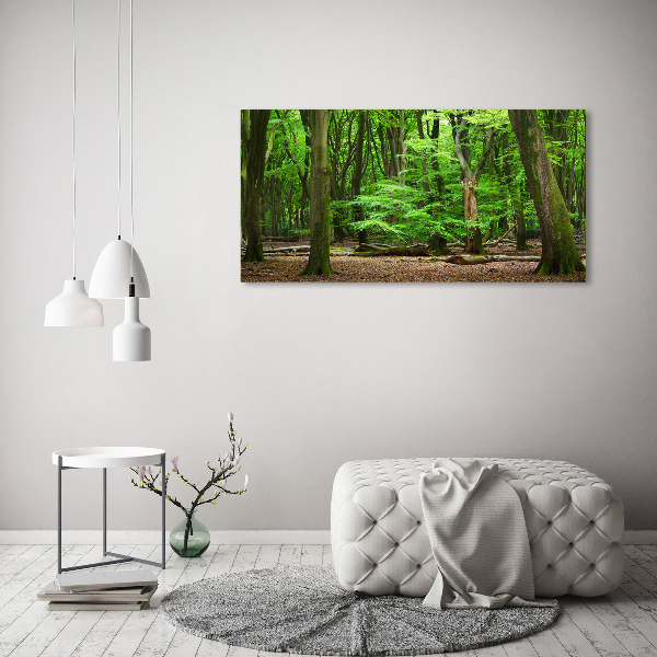 Acrylbild Fotodruck Holländischer Wald