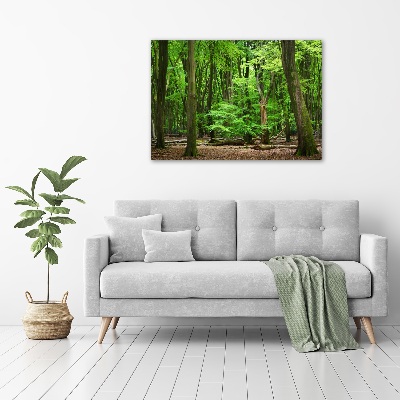 Acrylbild Fotodruck Holländischer Wald