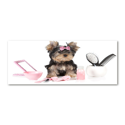 Acrylglas-Druck Yorkshire Kosmetik