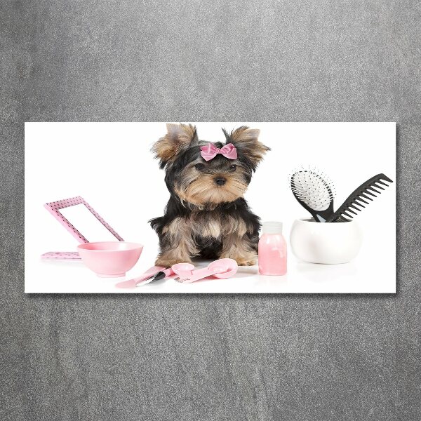 Acrylglas-Druck Yorkshire Kosmetik