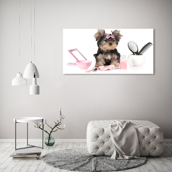 Acrylglas-Druck Yorkshire Kosmetik