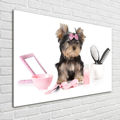 Acrylglas-Druck Yorkshire Kosmetik