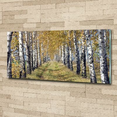 Acrylbild Fotodruck Birken im Herbst