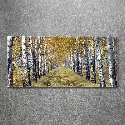 Acrylbild Fotodruck Birken im Herbst