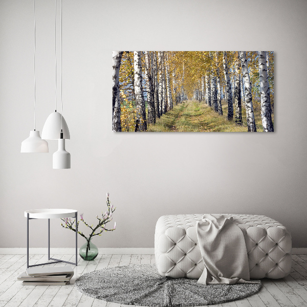 Acrylbild Fotodruck Birken im Herbst