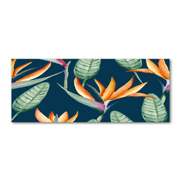 Foto auf Acryl Strelitzia reginae