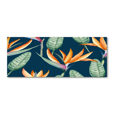 Foto auf Acryl Strelitzia reginae