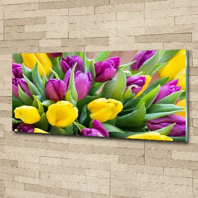 Bild auf Acrylglas Bunte Tulpen
