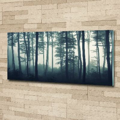 Acrylbild Fotodruck Wald im Nebel
