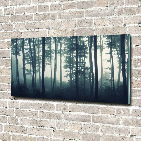 Acrylbild Fotodruck Wald im Nebel