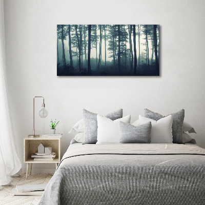 Acrylbild Fotodruck Wald im Nebel