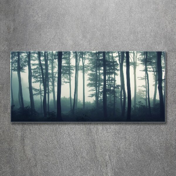 Acrylbild Fotodruck Wald im Nebel