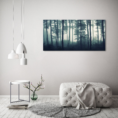 Acrylbild Fotodruck Wald im Nebel