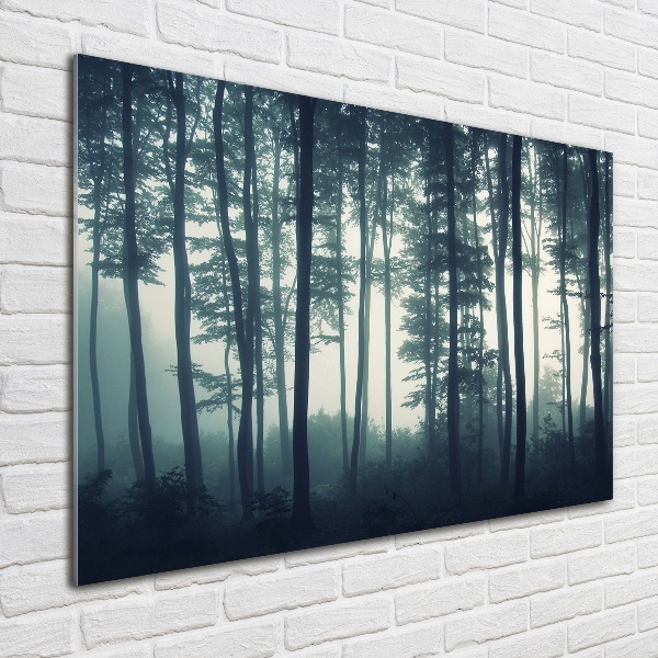 Acrylbild Fotodruck Wald im Nebel