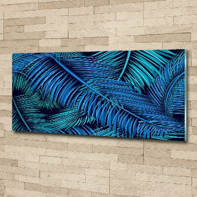 Bild auf Acrylglas Palmenblätter