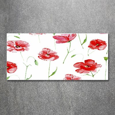 Foto auf Acryl Mohnblumen