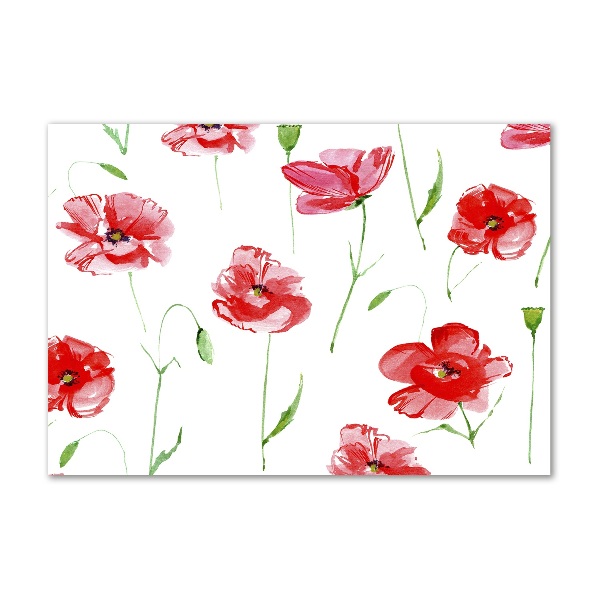 Foto auf Acryl Mohnblumen