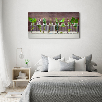 Acrylbild Fotodruck Pflanzen in Gläsern