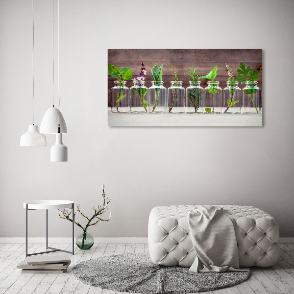 Acrylbild Fotodruck Pflanzen in Gläsern