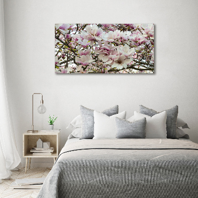 Acrylglas-Druck Magnolienblüten