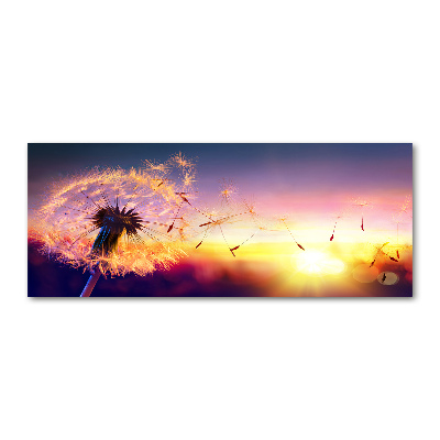 Foto auf Acryl Löwenzahn