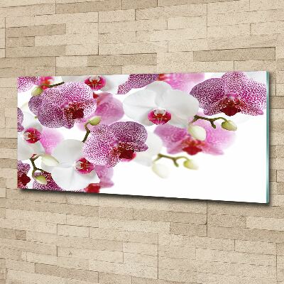 Bild auf Acrylglas Orchidee