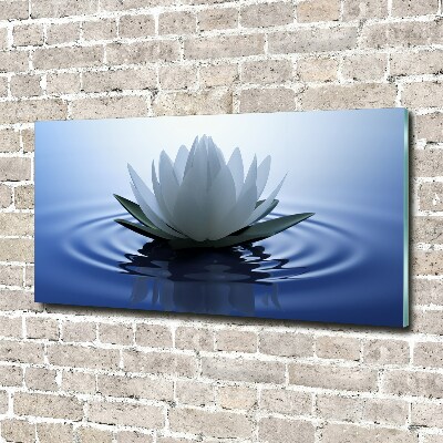 Acrylbild Fotodruck Seerose