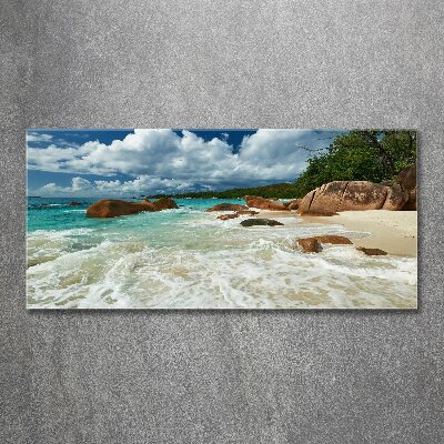 Bild auf Acrylglas Strand der Seychellen