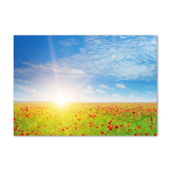 Acrylbild Fotodruck Mohnfeld