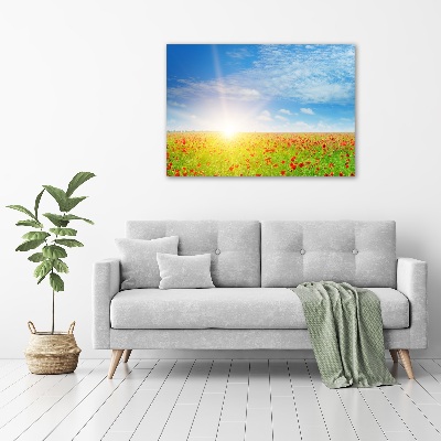 Acrylbild Fotodruck Mohnfeld