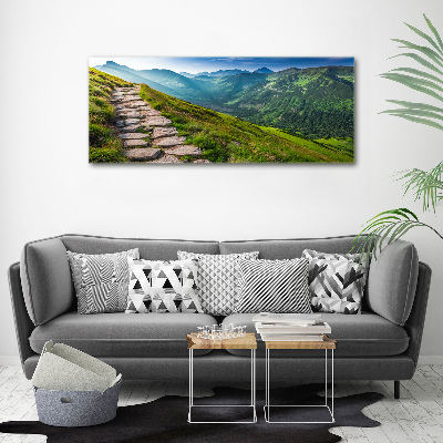 Foto auf Acryl Pfad in den Tatra-Bergen