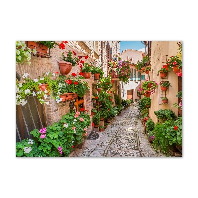 Bild auf Acrylglas Italienische Straßen