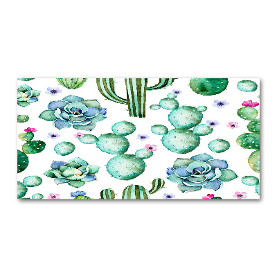 Foto auf Acryl Kakteen