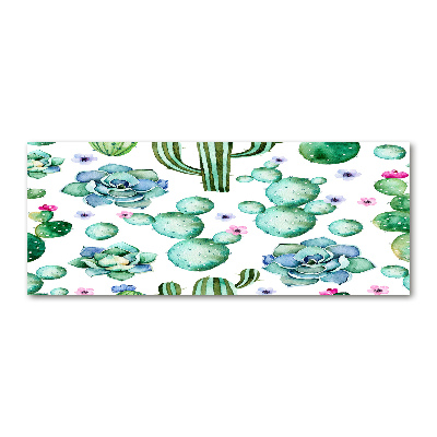 Foto auf Acryl Kakteen