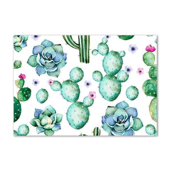 Foto auf Acryl Kakteen
