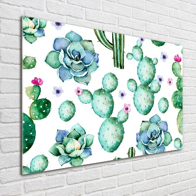 Foto auf Acryl Kakteen