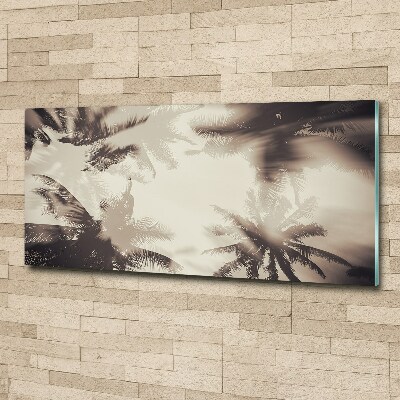 Bild auf Acrylglas Palmen