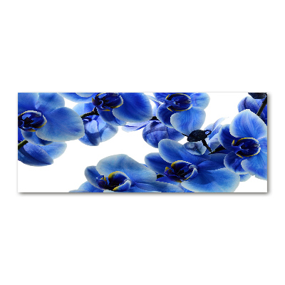 Acrylbild Fotodruck Blaue Orchidee