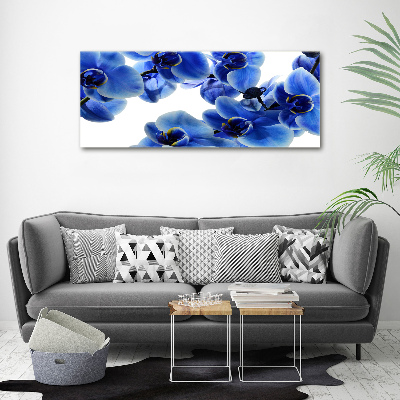 Acrylbild Fotodruck Blaue Orchidee