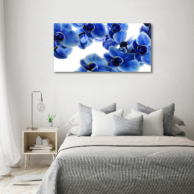 Acrylbild Fotodruck Blaue Orchidee
