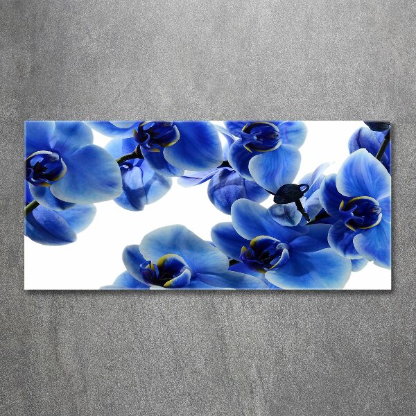Acrylbild Fotodruck Blaue Orchidee